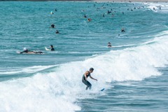 夏到来（２）
