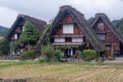 秋の白川郷（１）
