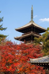 秋の京都（３）
