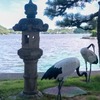 浜名湖舘山寺（４）