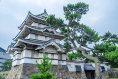 松本城（２）