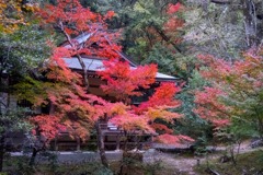 12月の高知（４）