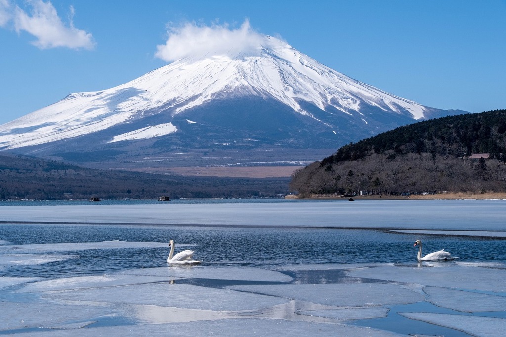 山中湖の冬（１）