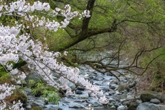 箱根　豊栄荘（３）