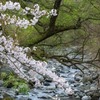 箱根　豊栄荘（３）