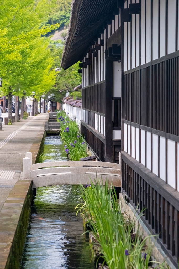 津和野（７）