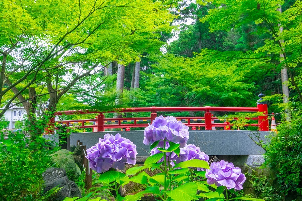 法多山（２）