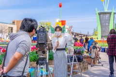 第70回となみチューリップフェア（２）