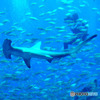 水族館の中５