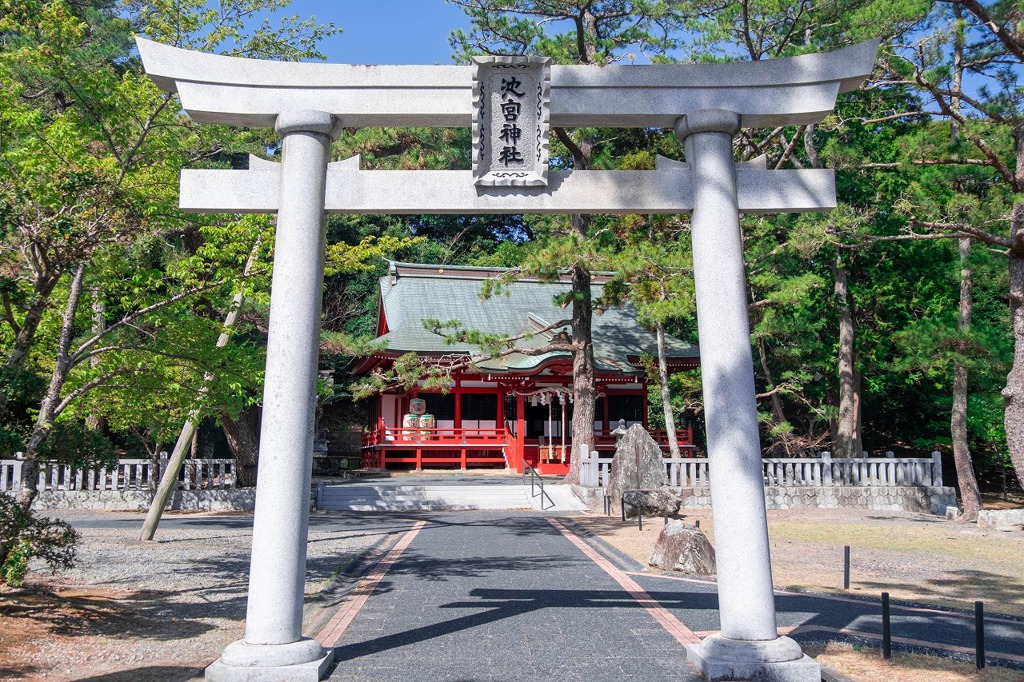 春の桜が池（１）