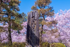高遠の春（15）