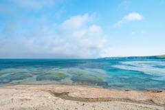 礼文島（10）