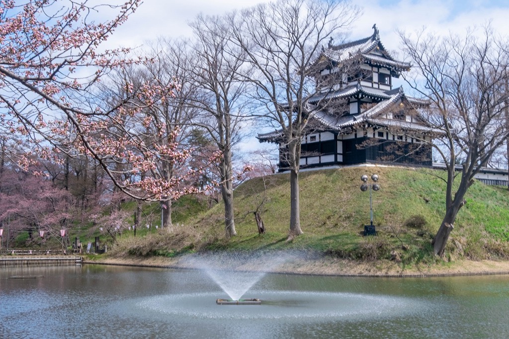 高田城の春（６）