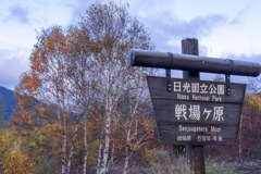 戦場ヶ原（１）