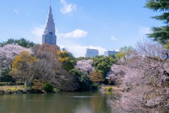 2020年東京の春（23）