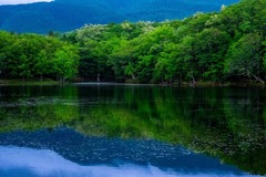知床五湖（４）