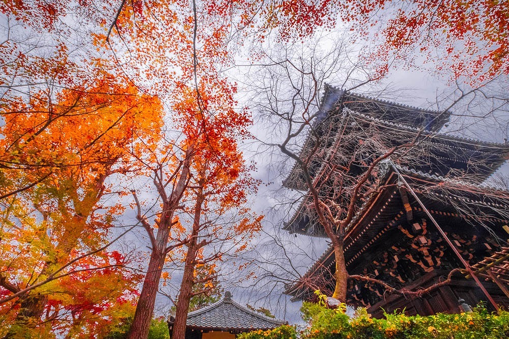 秋の京都（41）