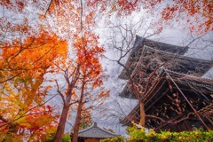 秋の京都（41）