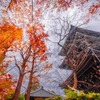 秋の京都（41）