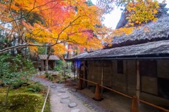 12月の奈良（３）