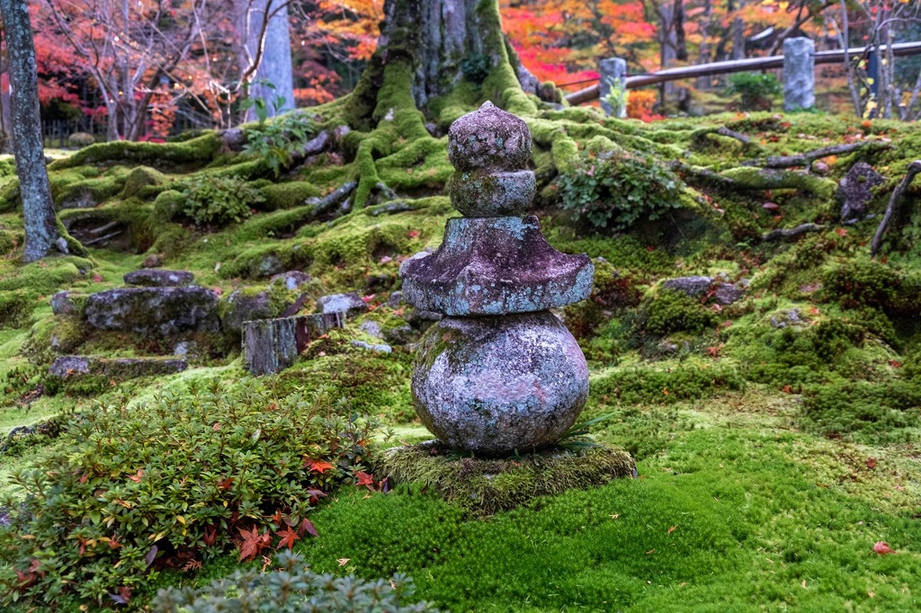 湖東の秋（３）