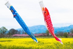 千曲川の春（３）