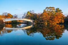 朝の大沼国定公園（２）