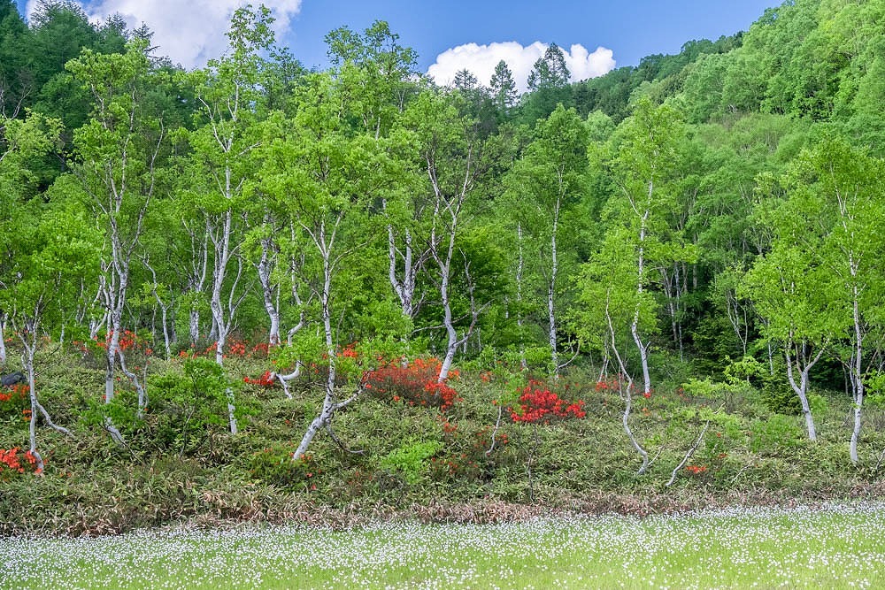 志賀高原（７）