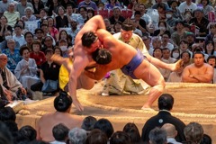 大相撲名古屋場所（17）