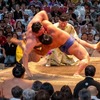 大相撲名古屋場所（17）