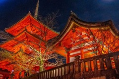 京都の夜景（13）