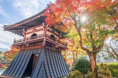 秋の永源寺（４）