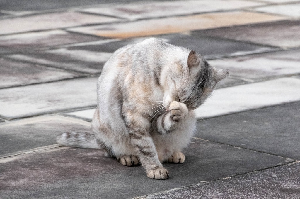 寝起き