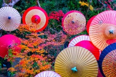 12月の奈良（76）