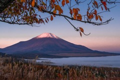 秋の富士山