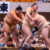 大相撲静岡場所（10）