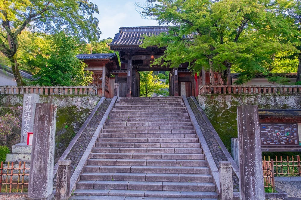 新緑の修善寺（６）
