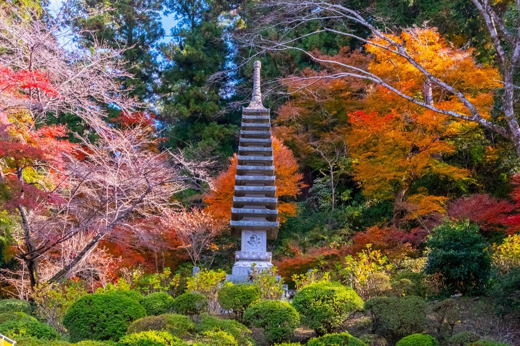 12月の奈良（71）