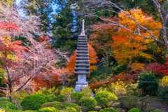 12月の奈良（71）