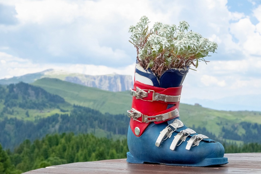 アルぺ・デ・シウジ（３）