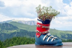 アルぺ・デ・シウジ（３）