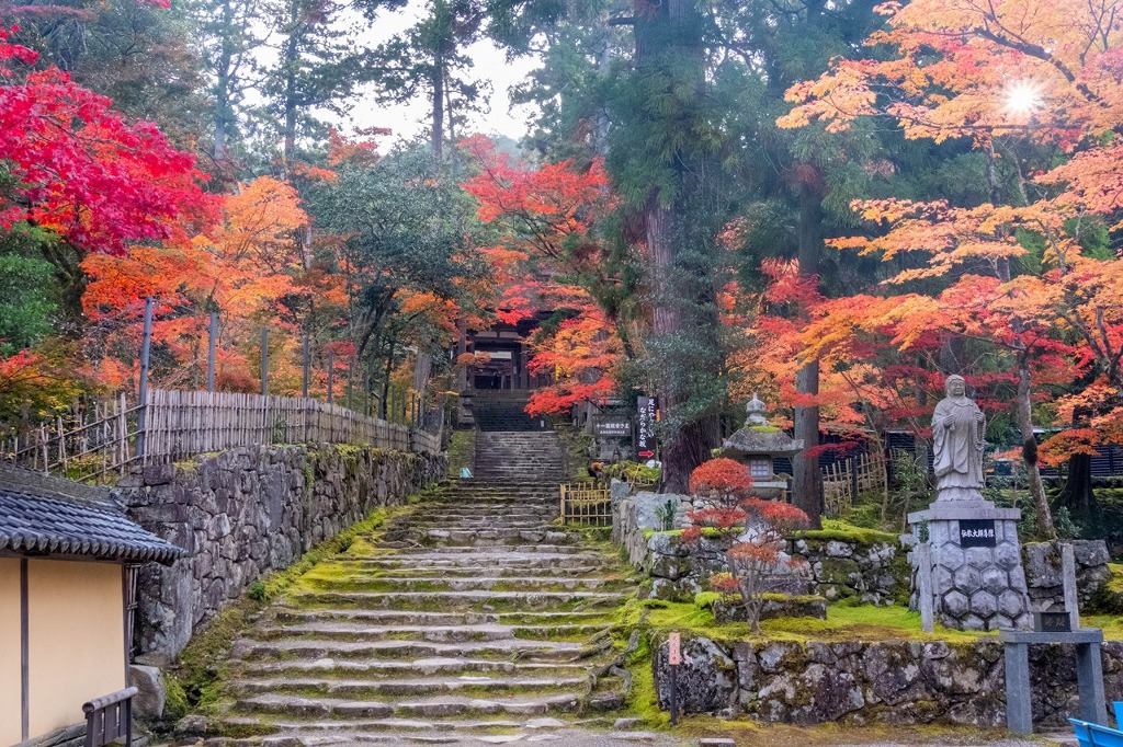 湖東の秋（１）
