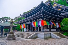 梅雨の鎌倉（５）