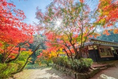 香嵐渓（５）
