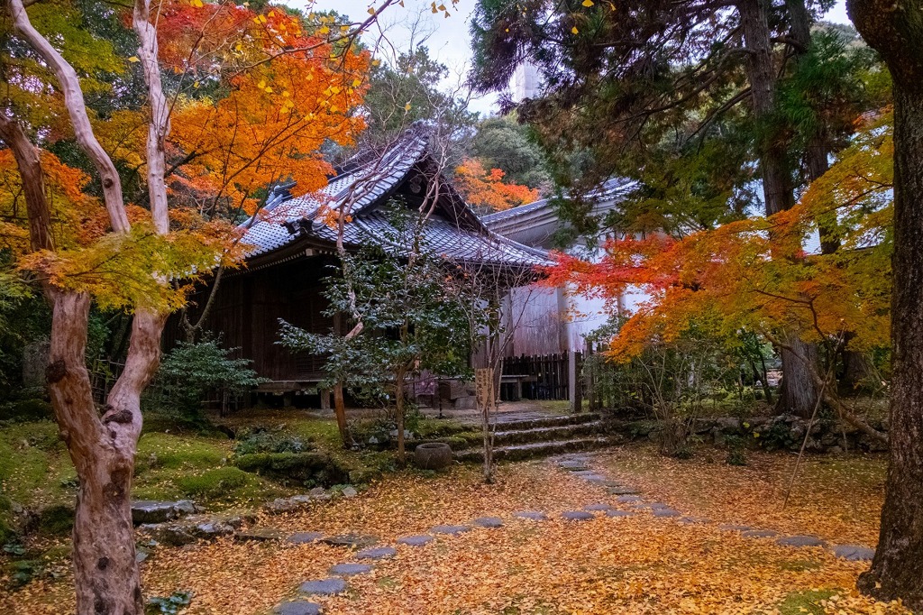 12月の高知（14）
