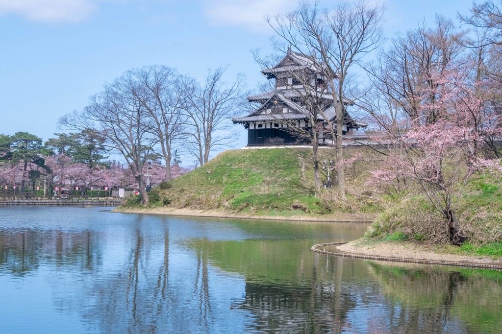 高田城の春（３）