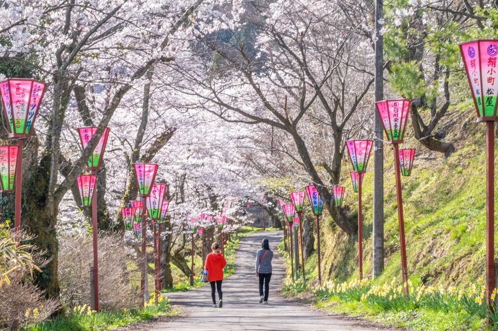 春の城山公園（１）