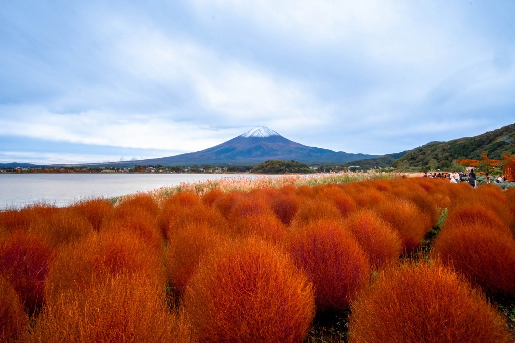 秋の富士五湖2025（３）