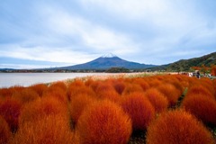 秋の富士五湖2025（３）