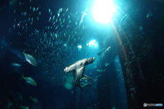 水族館を潜る４